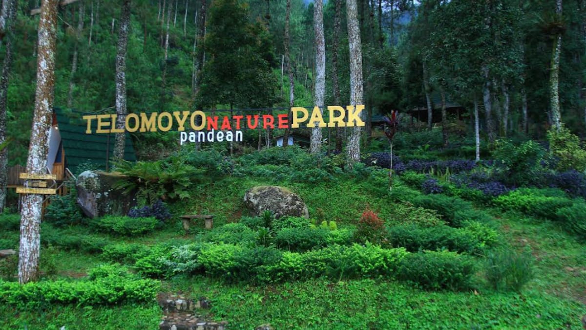 Telomoyo Nature Park: Petualangan Alam di Lereng Gunung